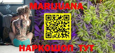 стафф Новодвинск